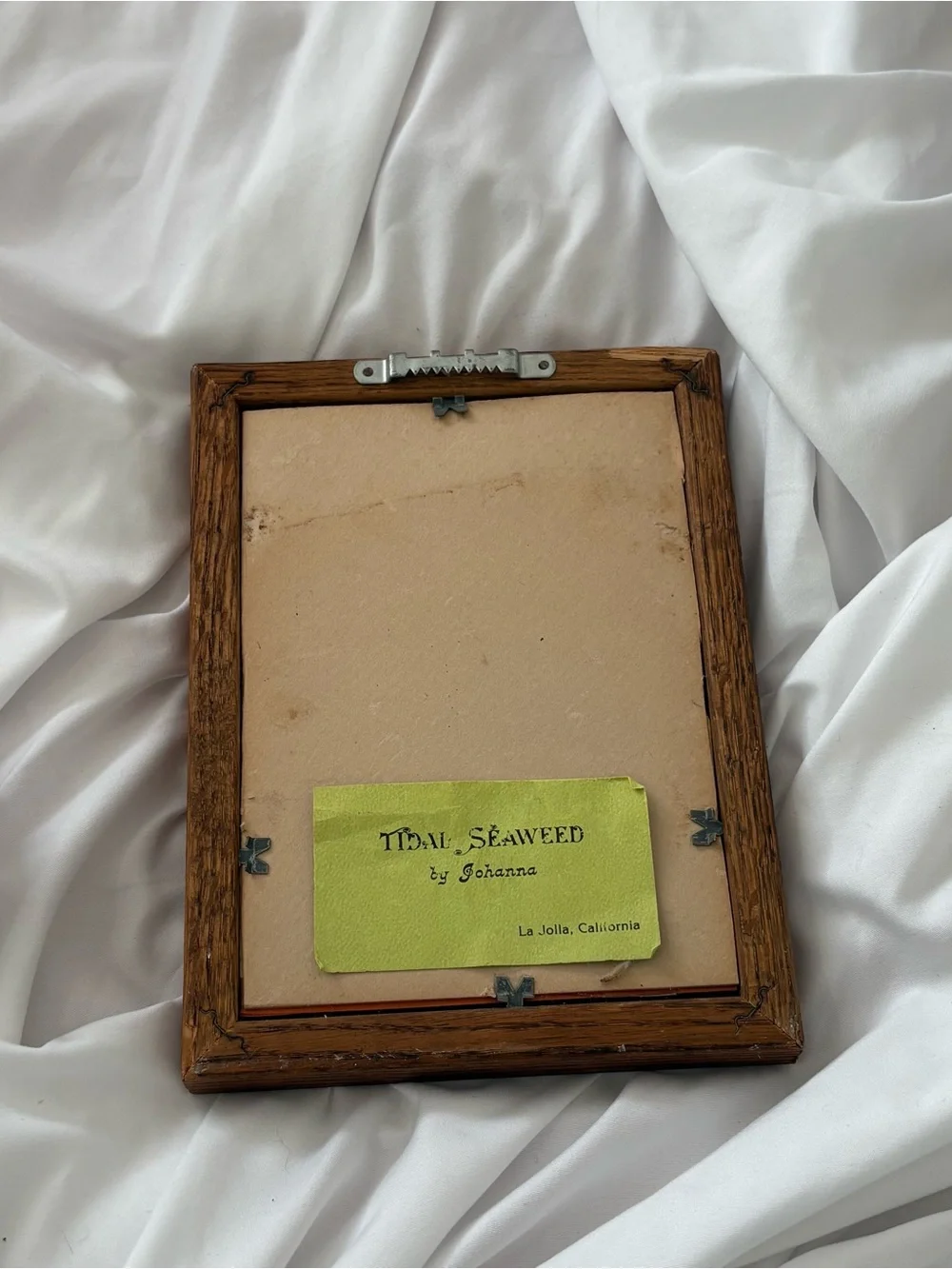 Vintage pressed seaweed framed wall art wood home decor wall hanging
